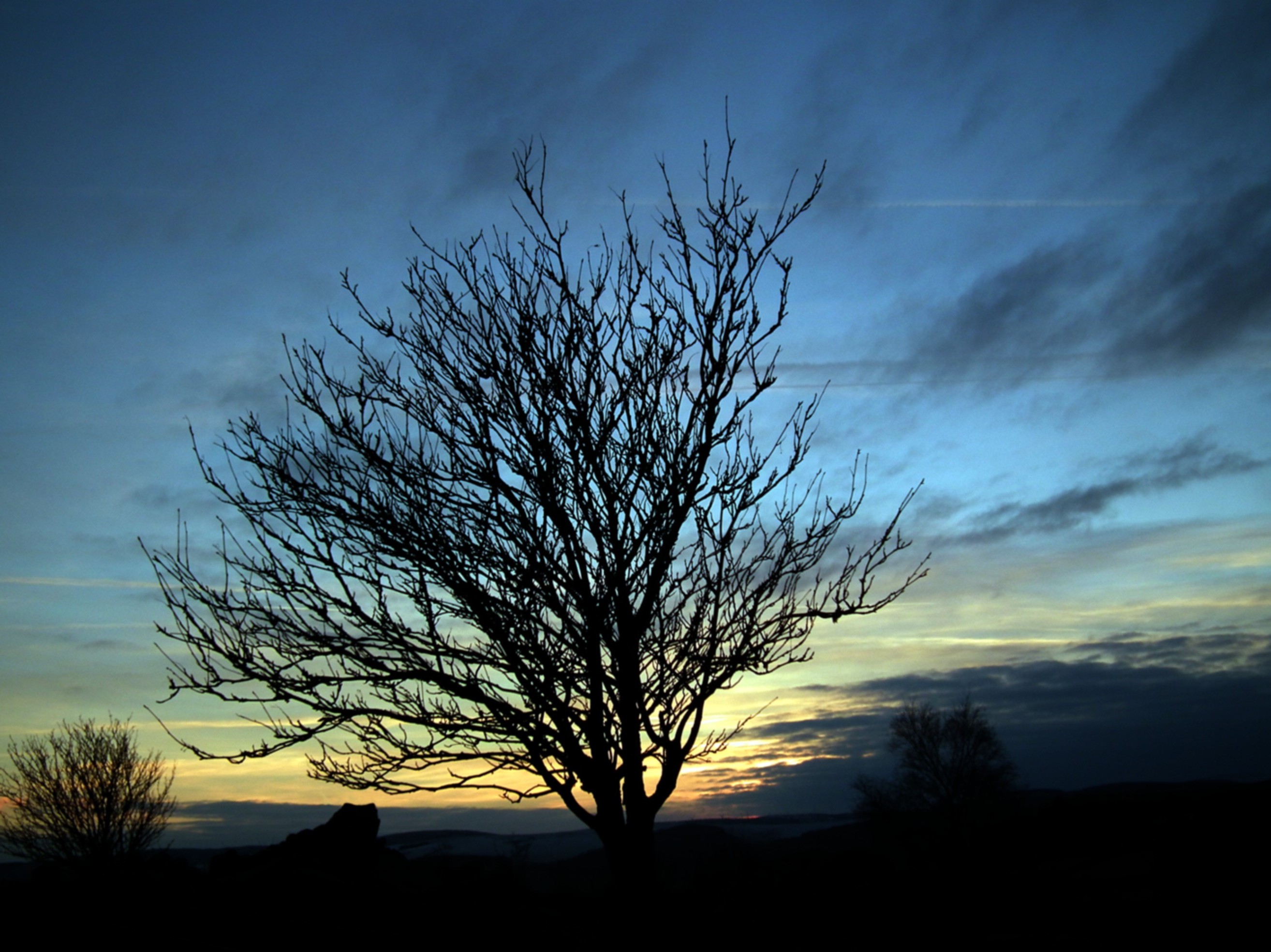 THE TREE NO 3 Bill Bagley Photography